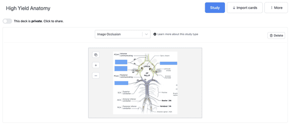 Example Image Occlusion Card