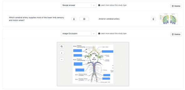 Example Studius reveal and image occlusion cards about cerebral vascular supply